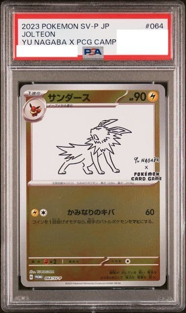 (PSA)サンダース